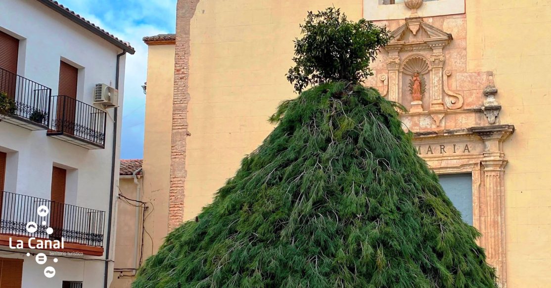 festividad san anton
